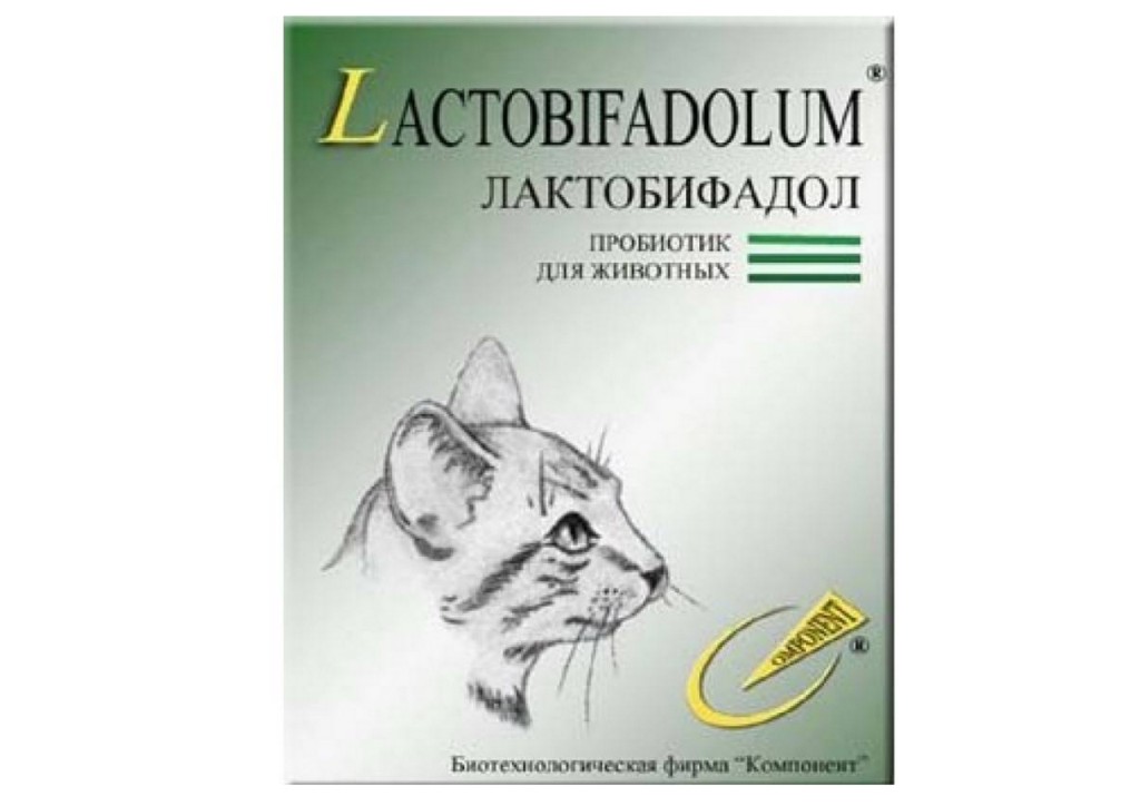 Лактобифадол форте для собак. Лактобифадол форте кошки, 50 г. Лактобифадол форте для собак уп. 50г. (T) Лактобифадол форте пробиотик д/кошек 50г. Пробиотик Лактобифадол форте 50 г.