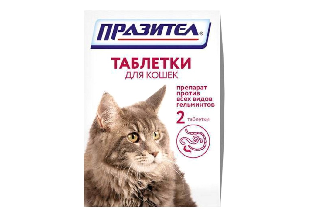 Таблетки от глистов для котят Празител. Празител для кошек таблетки. Купить празител для кошек