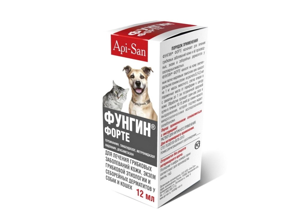 Купить Фунгин форте 12 мл /пластик/ Апи-Сан, У0000002123 по низкой цене ...
