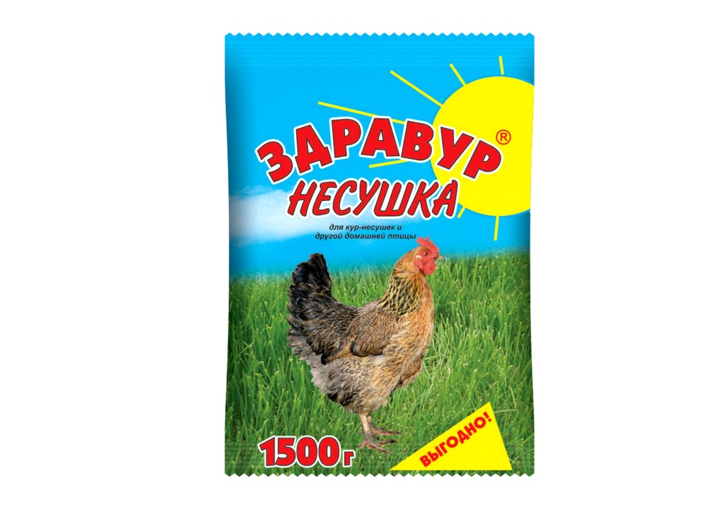 Курочек Несушек Купить Где Тут Можно